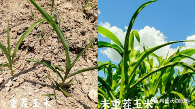微信图片_20210603154015.png