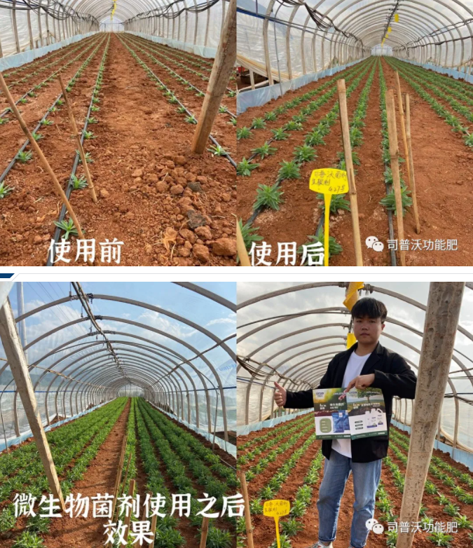微信图片_20210603154629.png