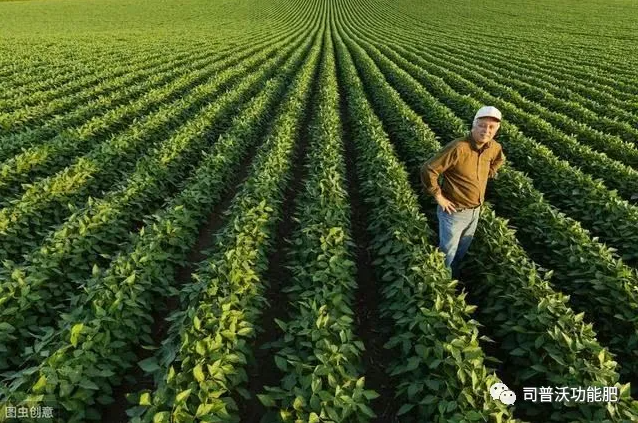 七种不同作物的科学轮换茬口种植？看了让你不增产都难！