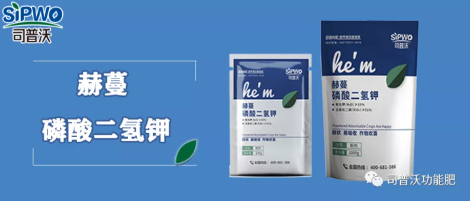 微信图片_20210603155924.png