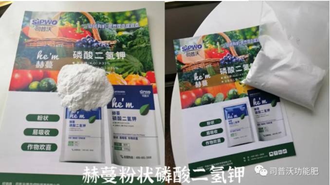 微信图片_20210603160006.png