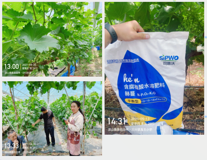微信图片_20210616105533.png