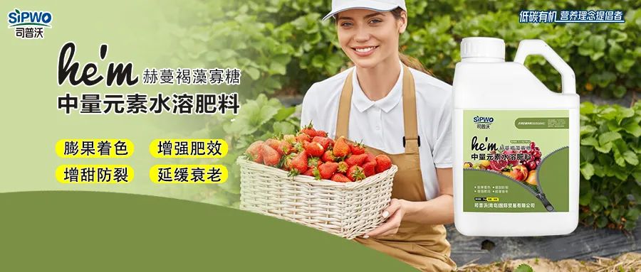 褐藻寡糖--中量元素水溶肥|膨果着色、增强肥效、增甜防裂、延缓衰老