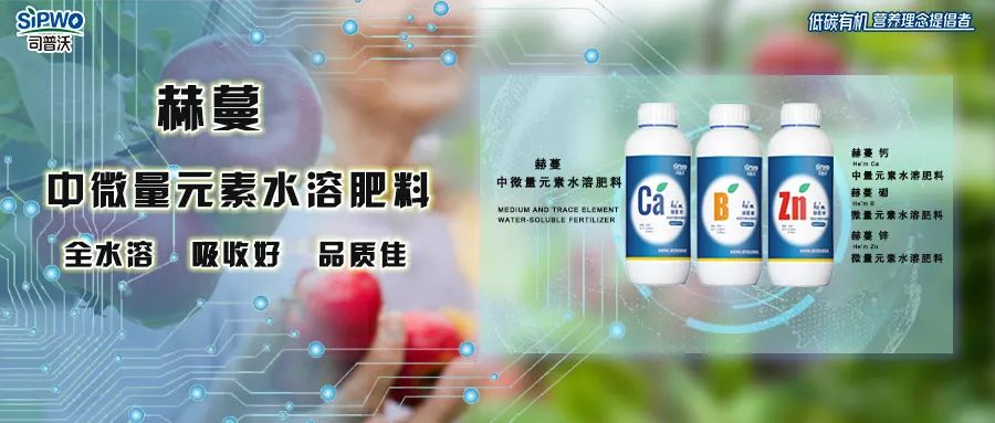 中微量元素钙、硼、锌|移动快、吸收好、营养全、品质佳