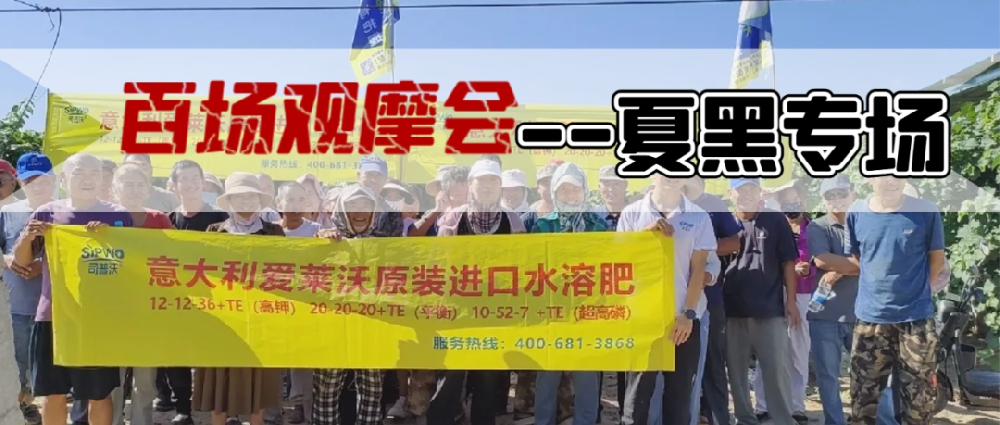 新疆博乐地区夏黑葡萄观摩会圆满成功，司普沃功能肥闪耀全场