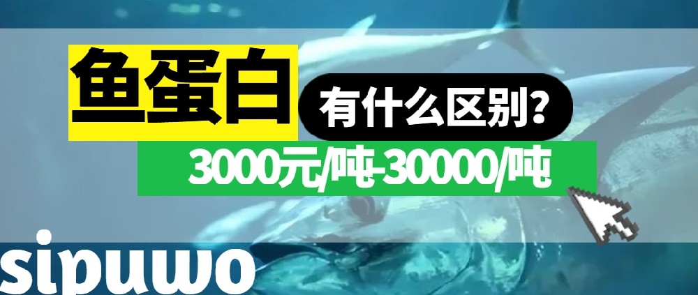 3000-30000元/吨的鱼蛋白有多大差距？一篇文章告诉你！